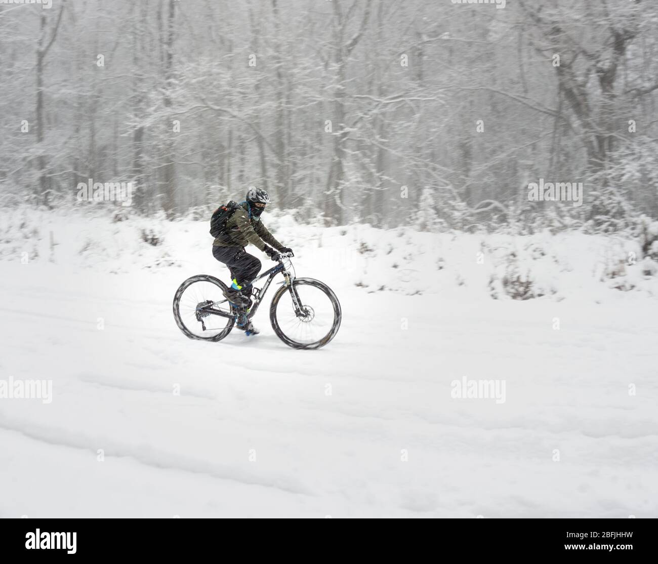 Ein unbekannter Mountainbiker bündelt sich und trotzt einem januar Schneesturm in eine Winterfahrt zwischen den Wäldern umstead State Park, morrisville North Car zu bekommen Stockfoto