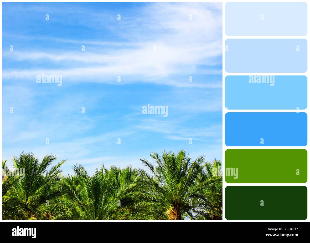 Palme auf blauem Himmel Hintergrund und Palette von Farben Stockfoto