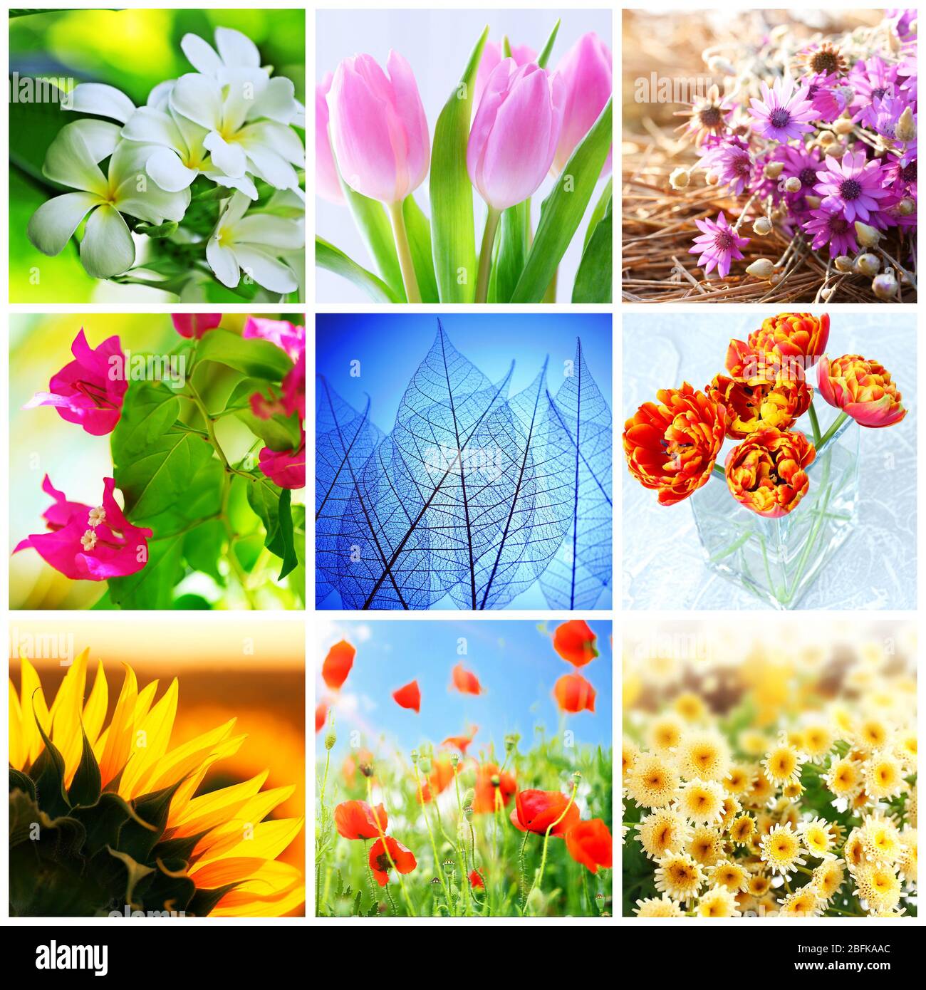 Collage aus verschiedenen hellen Fotos Stockfoto