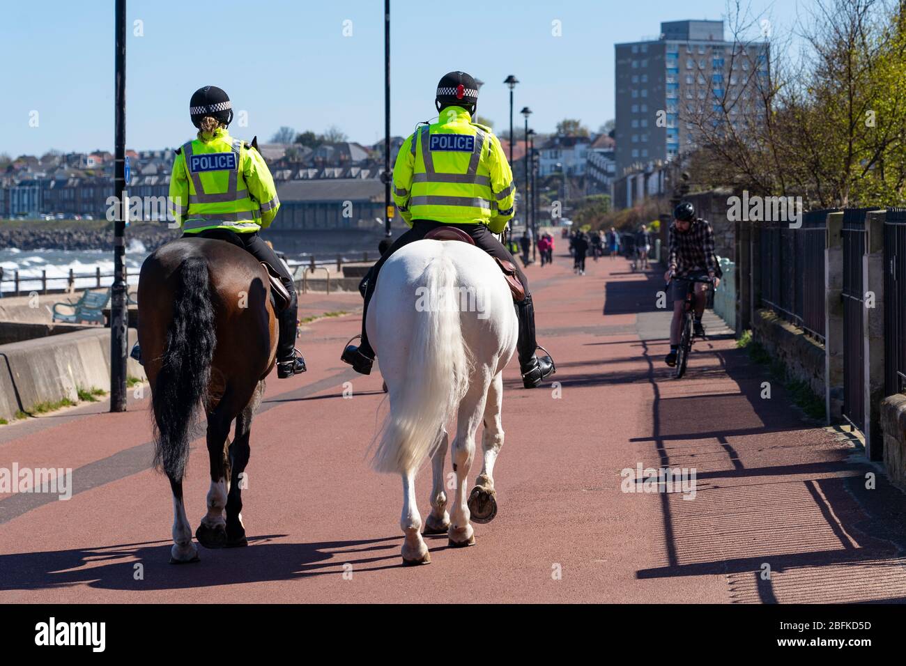 Portobello, Schottland, Großbritannien. 19. April 2020. Mounted Police Horses Logie und Edinburgh - in weiß, patrouillieren die Promenade und Strand in Portobello an sonnigen Sonntagnachmittag. Iain Masterton/Alamy Live News Stockfoto