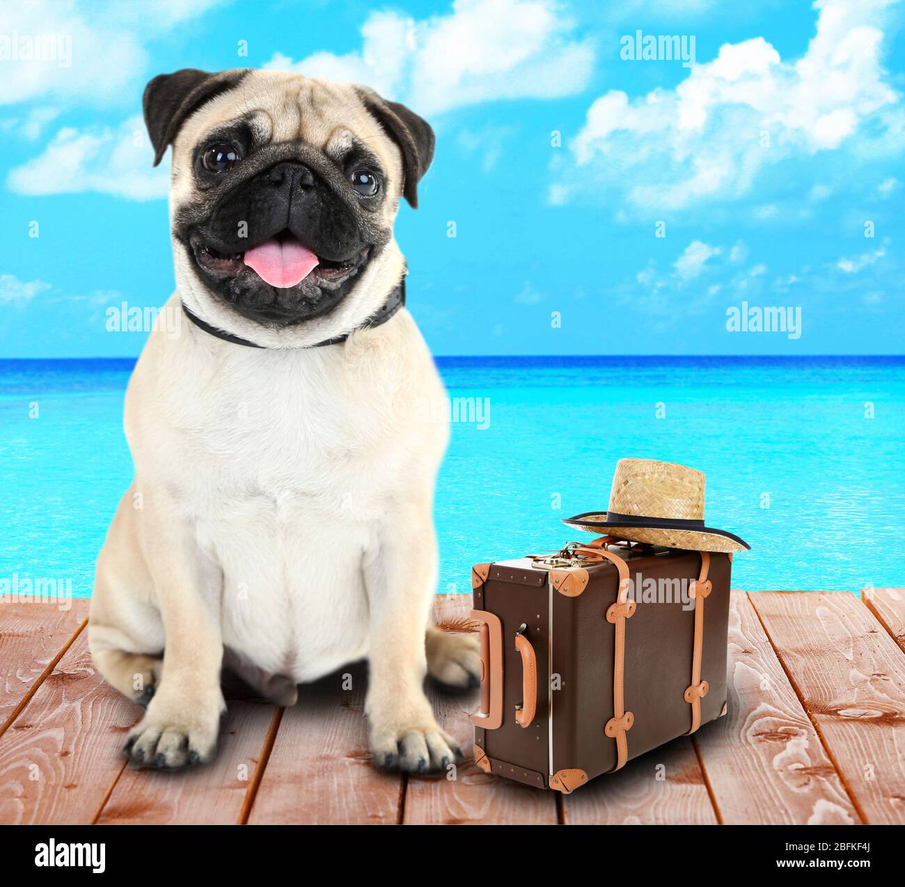 Lustige Hund Tourist mit Koffer und Hut in der Nähe von Meer Stockfoto