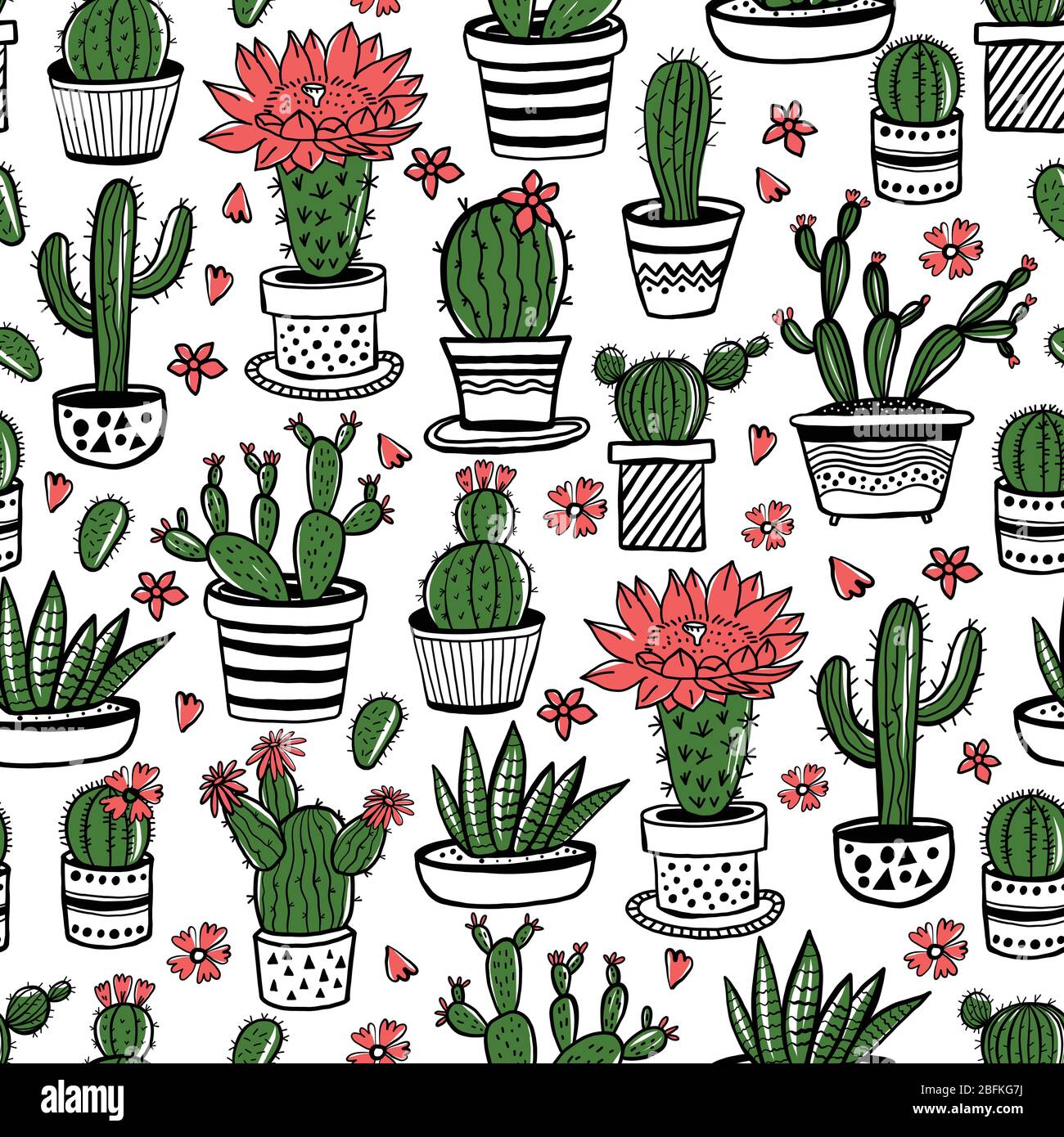kaktus arrangement Cactus Garden Arrangement - Unique Cacti Arrangement - Cacti Gift Ideas