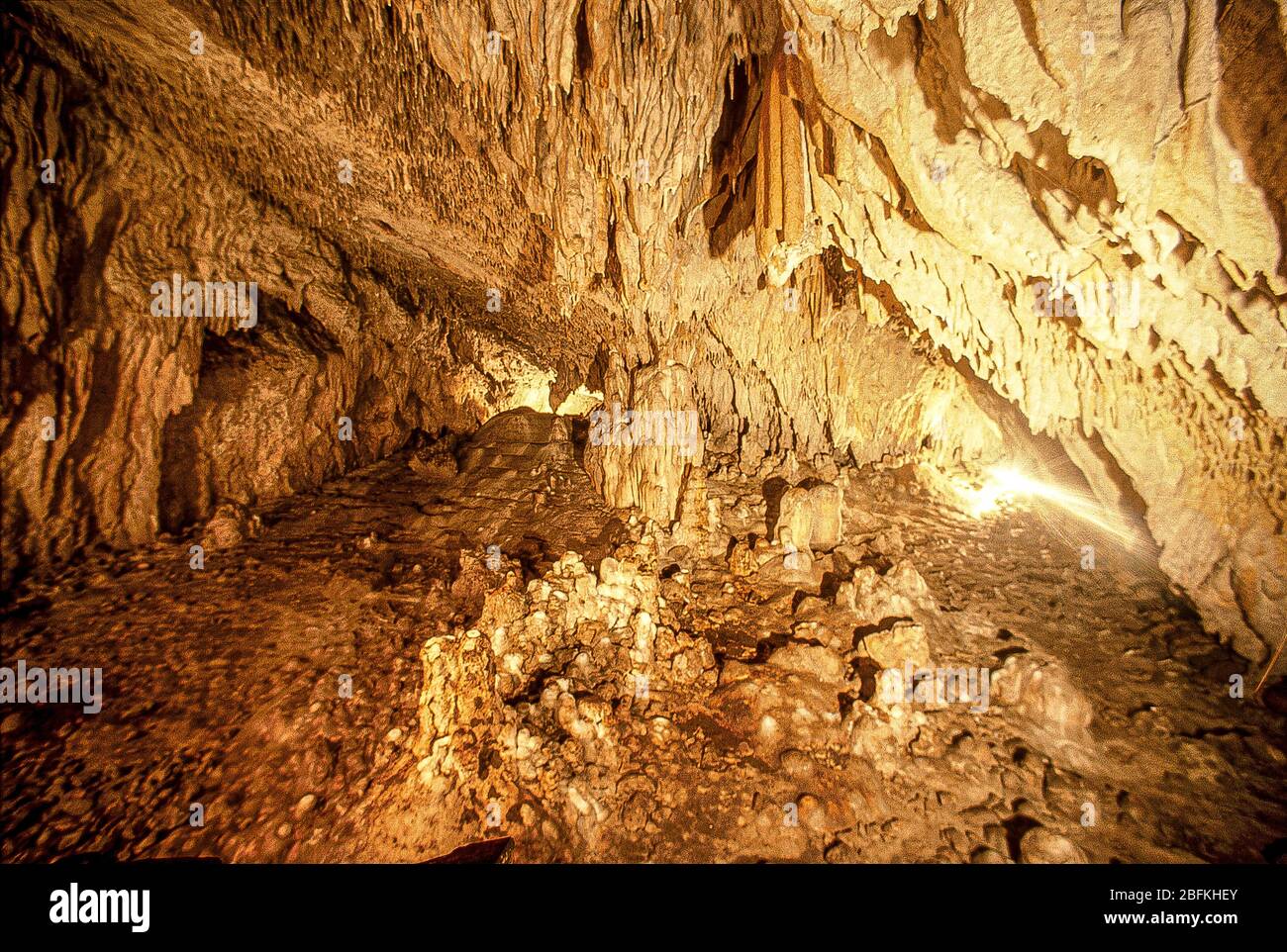 Italien kalabrien - Papasidero CS - Grotta del Romito. Die Romito Höhle stammt aus dem Altsteinzeitgebiet und ist 16 km von Papasidero entfernt. Die Romito Höhle besteht aus zwei Räumen von je ca. 20 m und bedeckt 34 m im Tierheim. Stockfoto