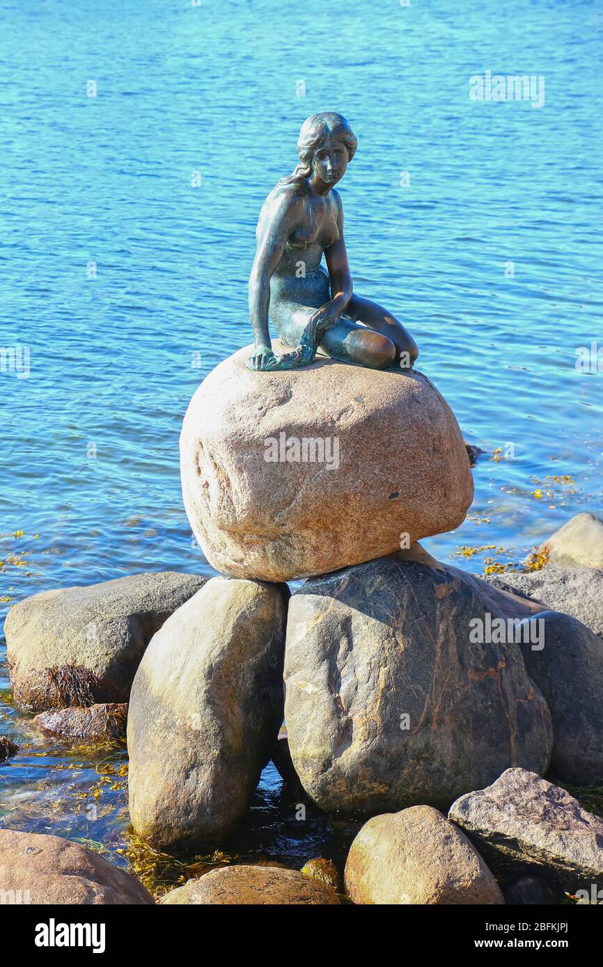 Kleine Meerjungfrau ikonische Statue & Wahrzeichen. Es ist ein Mädchen aus Bronze, das auf einem Felsblock sitzt. Kopenhagen, Dänemark. Stockfoto