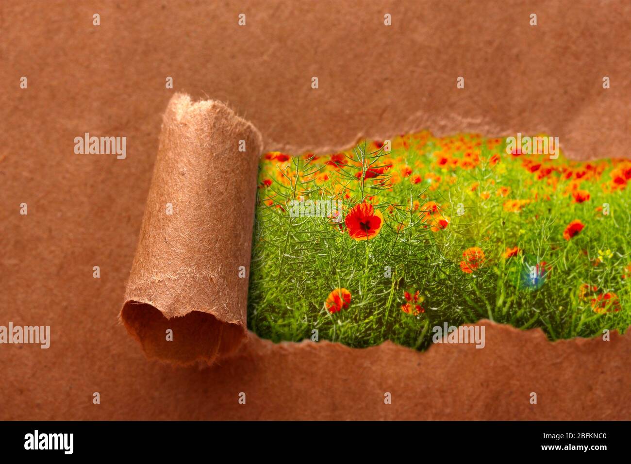 Papierrahmen mit schönen Natur Hintergrund Stockfoto