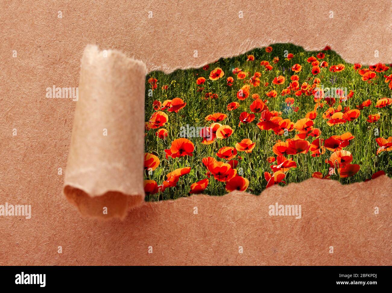 Papierrahmen mit schönen Natur Hintergrund Stockfoto