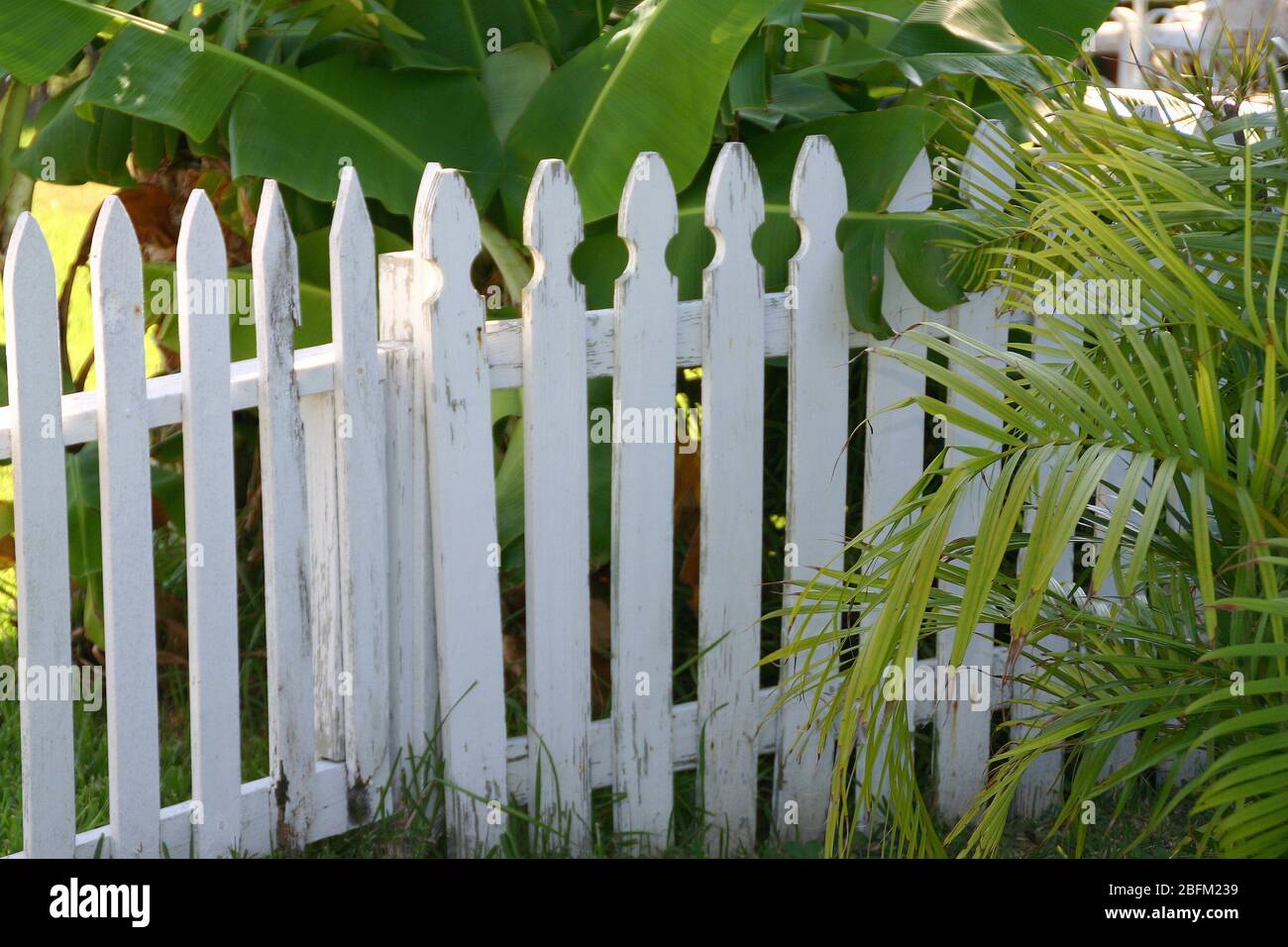Der weiße Zaun trennt die Eigenschaften. Stockfoto