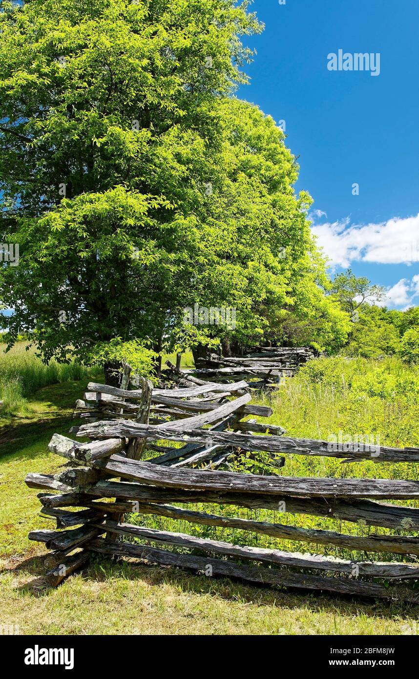 Split Rail Zaun, Zick-Zack-Muster, Bäume, grüne Vegetation, ländliche Szene, Brush Mountain, Hensley Siedlung; Cumberland Gap National Historic Park; Ke Stockfoto