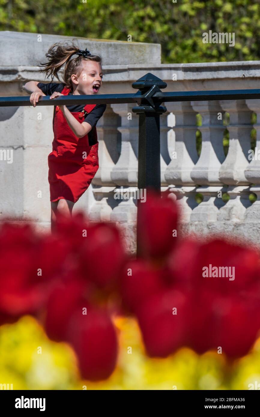 London, Großbritannien. April 2020. Die Blumen rund um das Victoria Monument genießen - die Leute trainieren auf dem Fahrrad und zu Fuß, einige in Masken und andere nicht. Im Zentrum von London ist es ziemlich voll, wenn die Sonne wieder aufgeht. Die "Lockdown" geht weiter für den Ausbruch des Coronavirus (Covid 19) in London. Kredit: Guy Bell/Alamy Live News Stockfoto