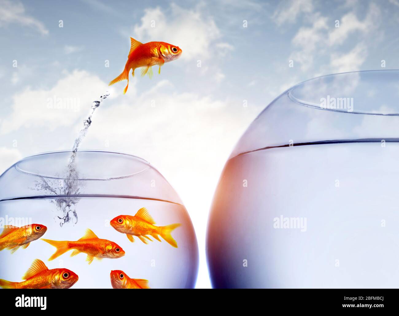 Goldfisch, der von einem glas springt Fotos und Bildmaterial in hoher