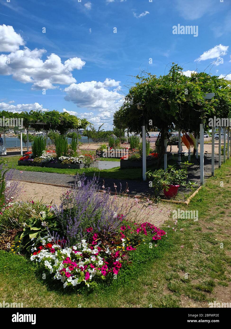 Schöner Garten mit vielen Blumen und Bäumen in der Nähe des Flusses im Sommer sonnigen Tag. Stockfoto