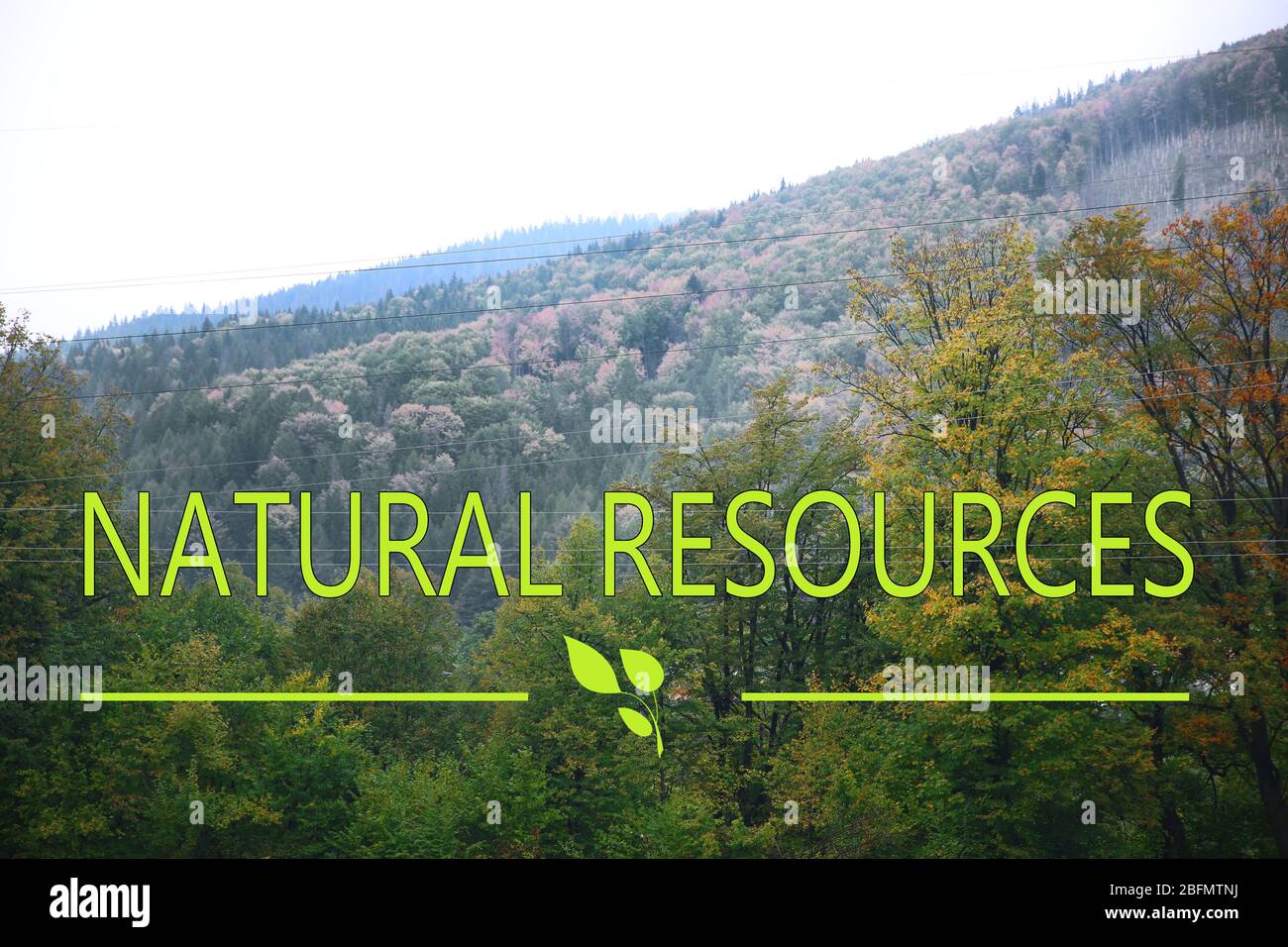 Konzept der Einsparung natürlicher Ressourcen. Text auf Bergwald Hintergrund Stockfoto