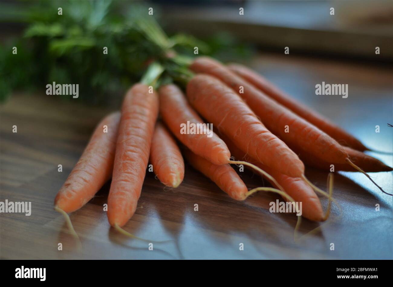 Frische Möhren aus dem Garten in der Küche, Kochen mit gesunden Bio-Lebensmitteln, Gemüse Stockfoto