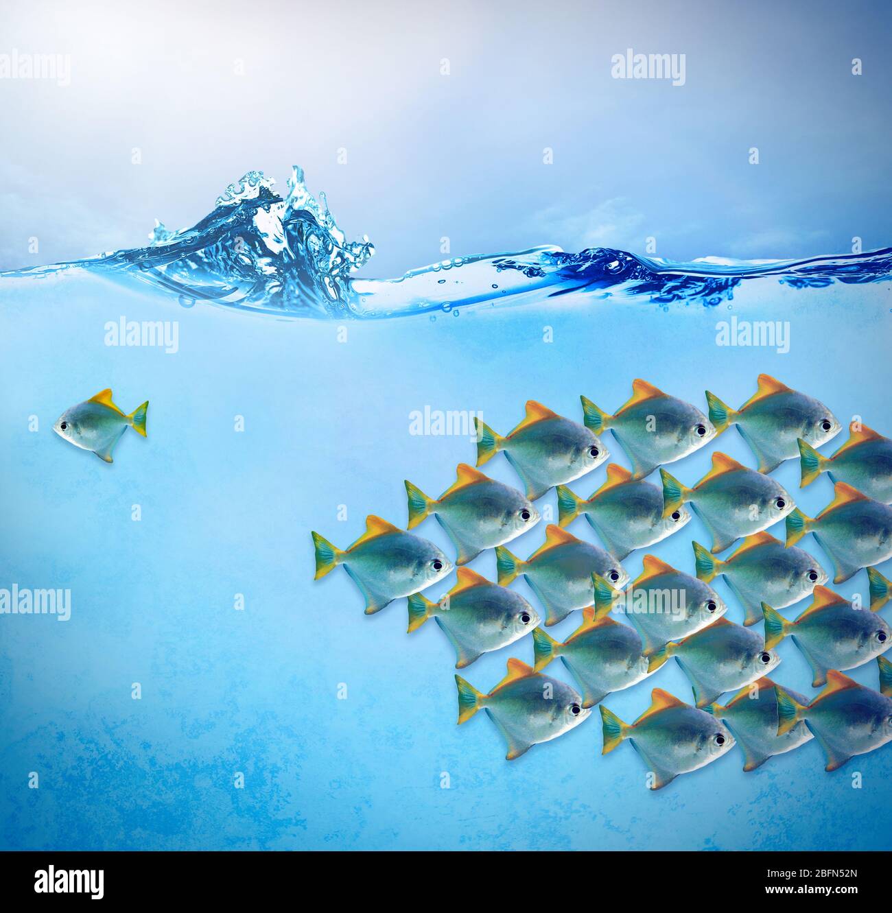 Viele Fische im blauen Wasser. Gegen das Stream-Konzept Stockfoto