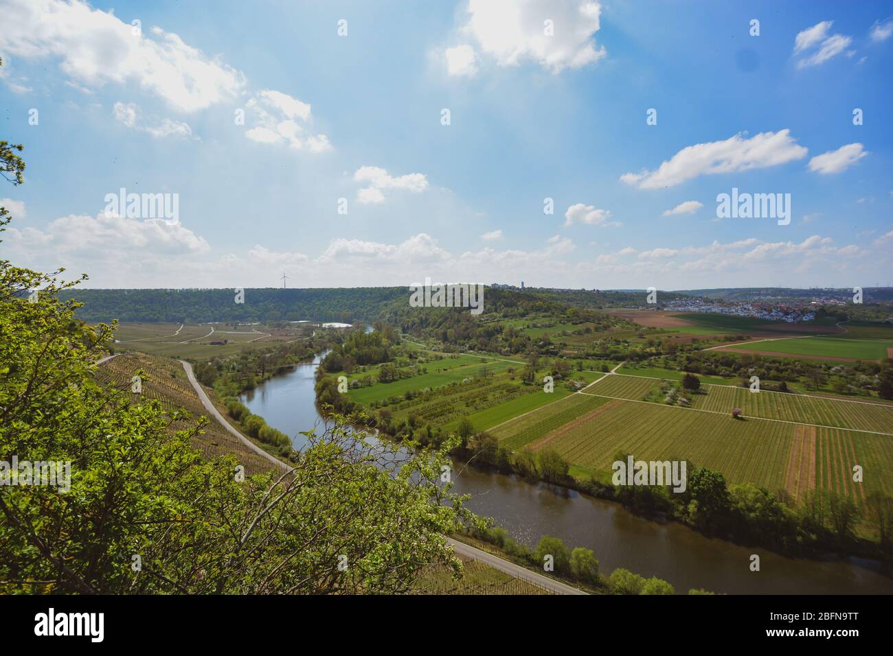 Weinberg mit Blick auf den Neckar, Landschaft von Hessigheim, Deutschland Stockfoto