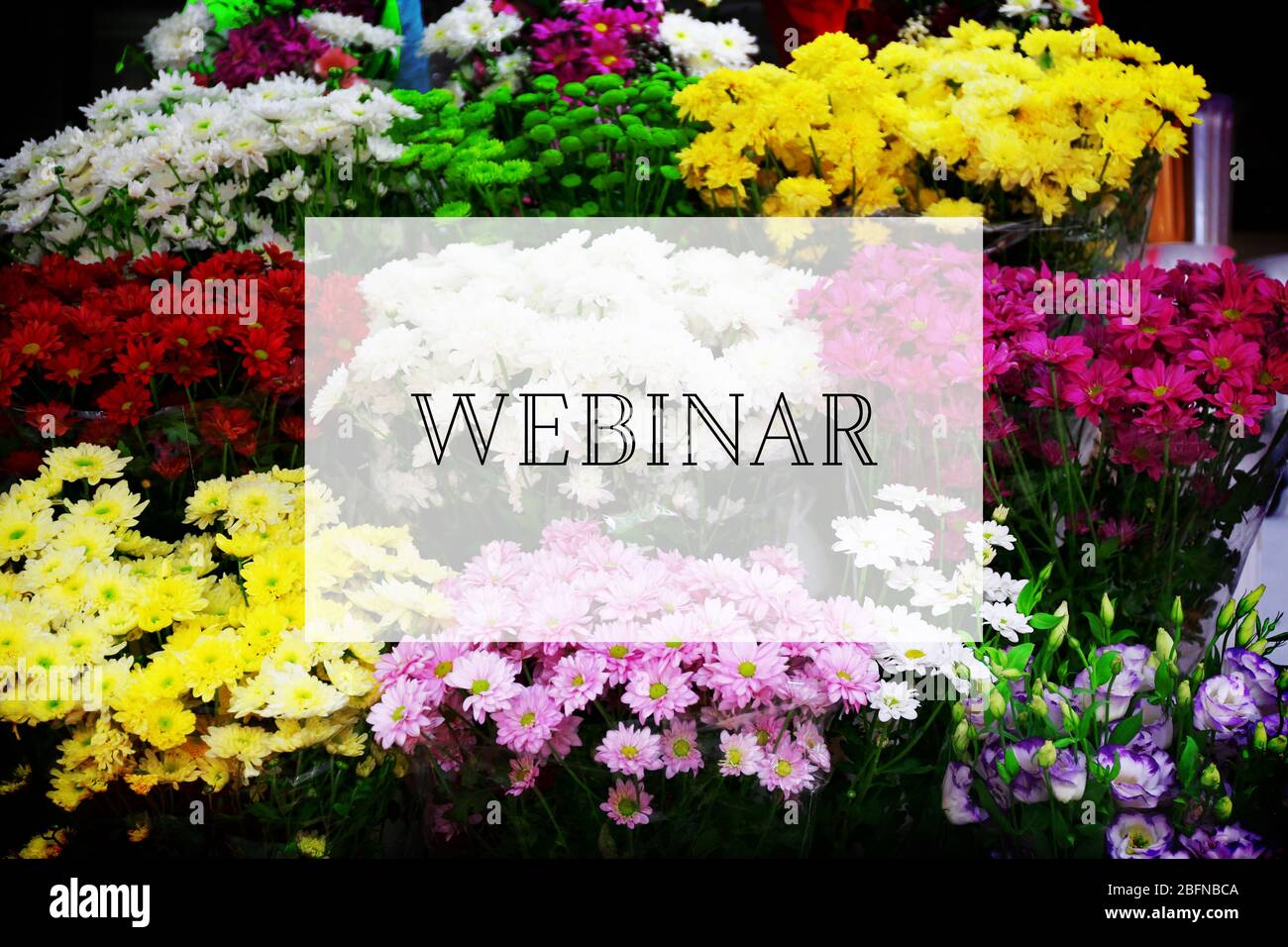 Word WEBINAR auf Blumen Hintergrund. Floristin und Blumendesign Tutorial Konzept. Stockfoto