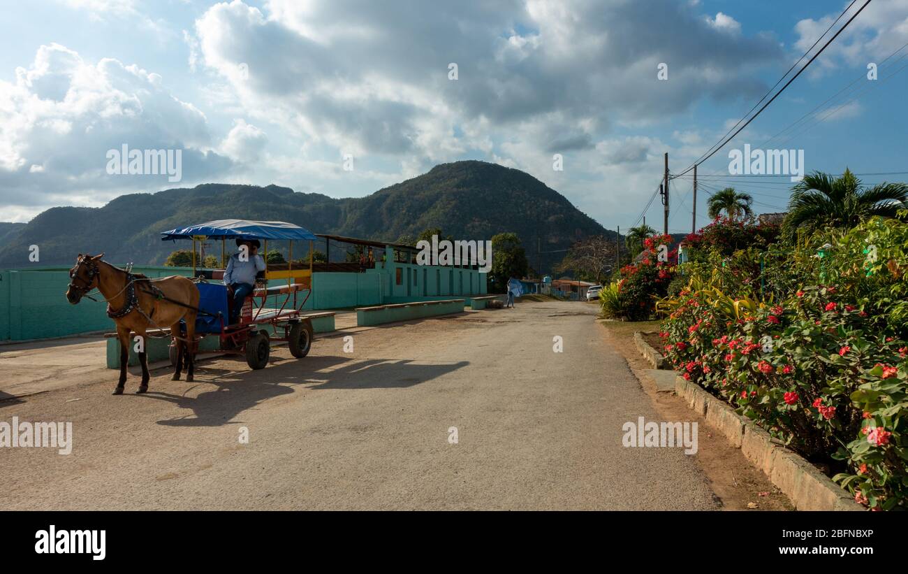 Pferdekutsche lokaler Taxifahrer vor Vinales Sports Ground, Viñales, Kuba Stockfoto