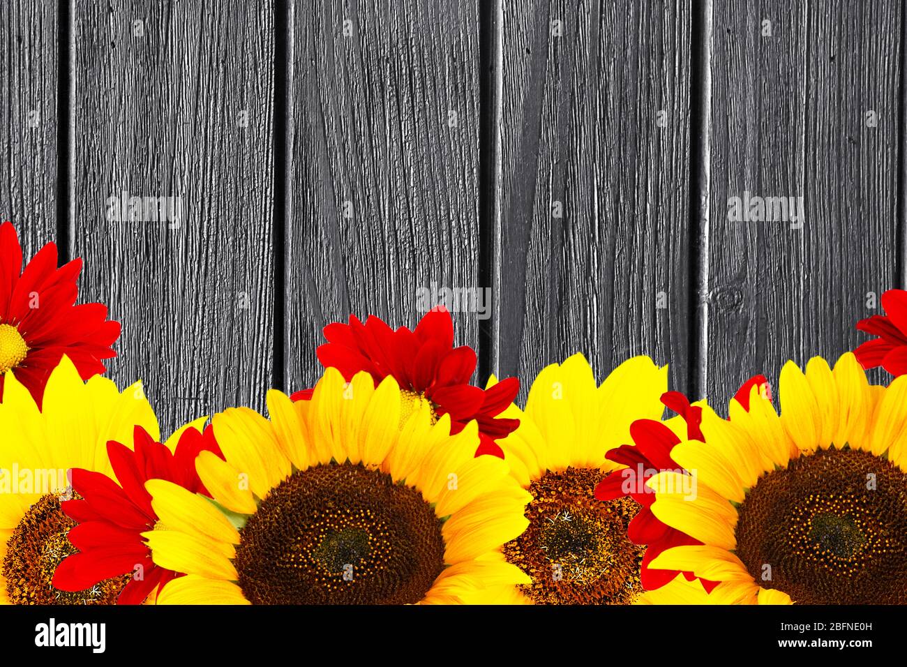 Wunderschöne Blumen auf Holz- Hintergrund Stockfoto
