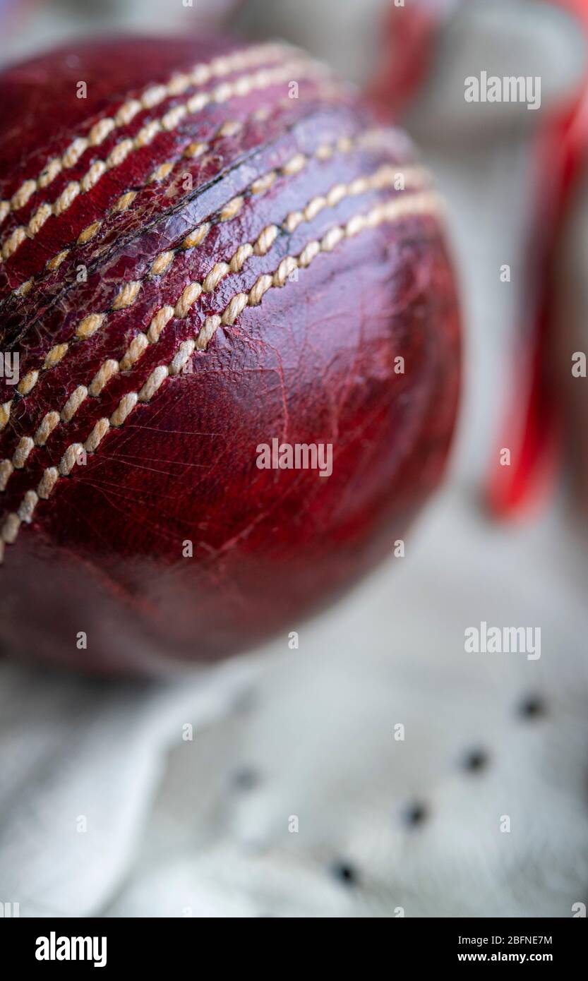 Cricket Ball in einem Schlaghandschuh Stockfoto