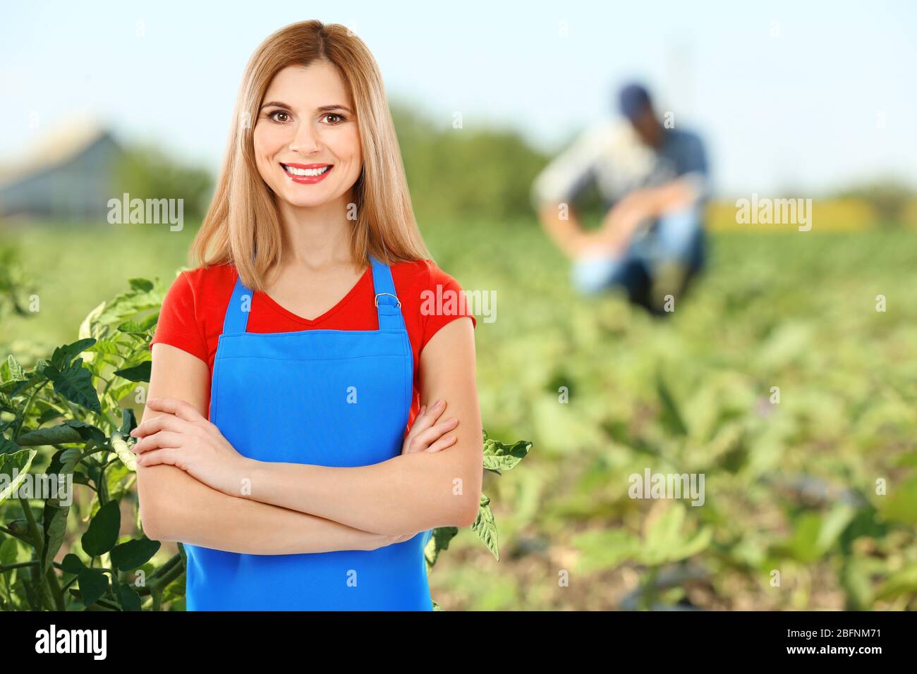 Besitzer der Landwirtschaft in kultiviertem Feld Stockfoto