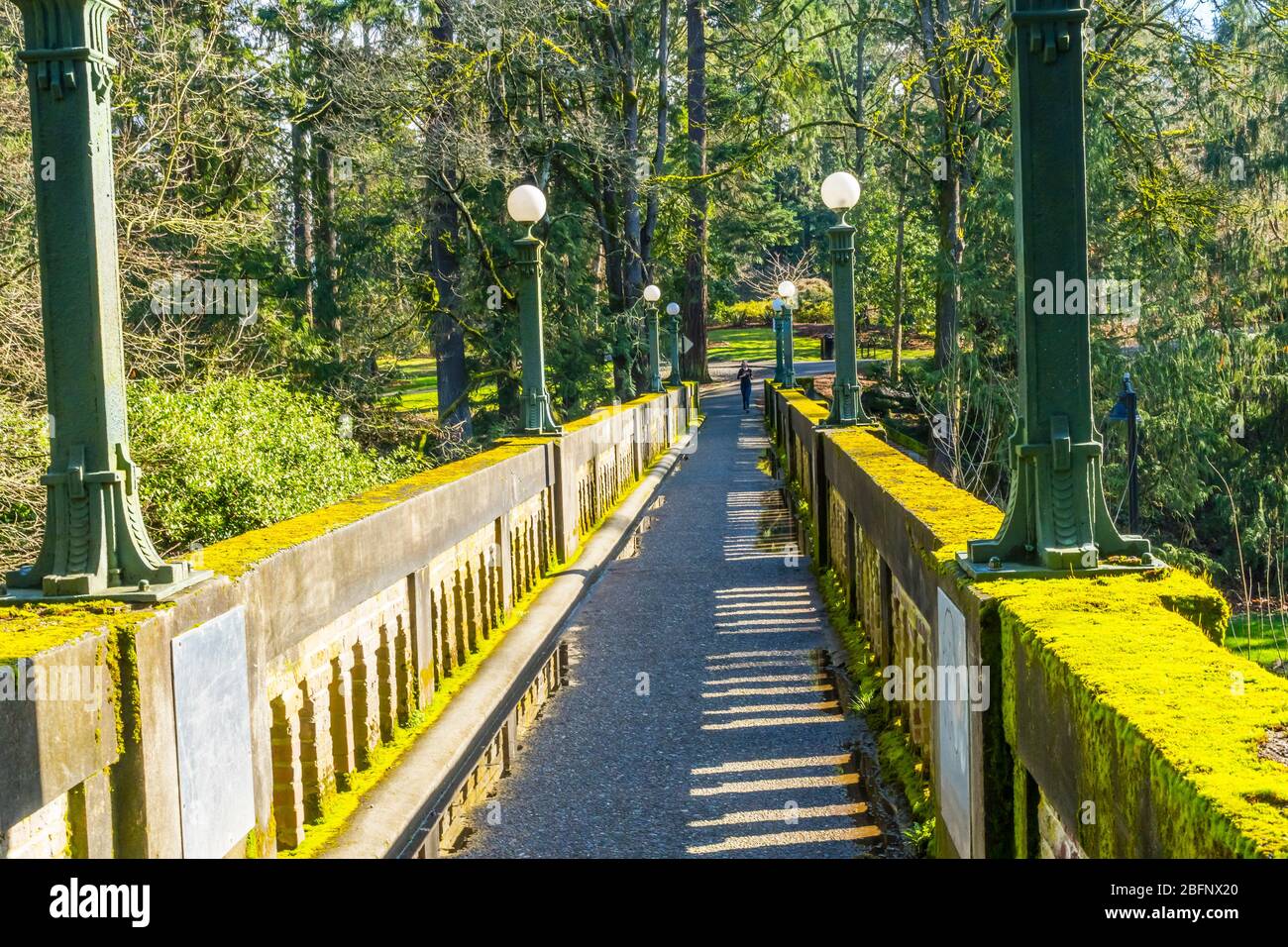 Green Moss Lights Old Newton Street Bridge Washngton University Arboretum Seattle Stockfoto