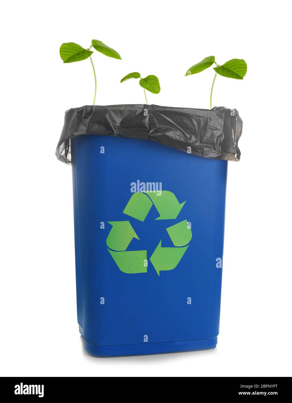 Pflanzen wachsen aus dem Abfalleimer mit Logo des Recycling auf weißem Hintergrund. Natur und Umwelt schützen Stockfoto