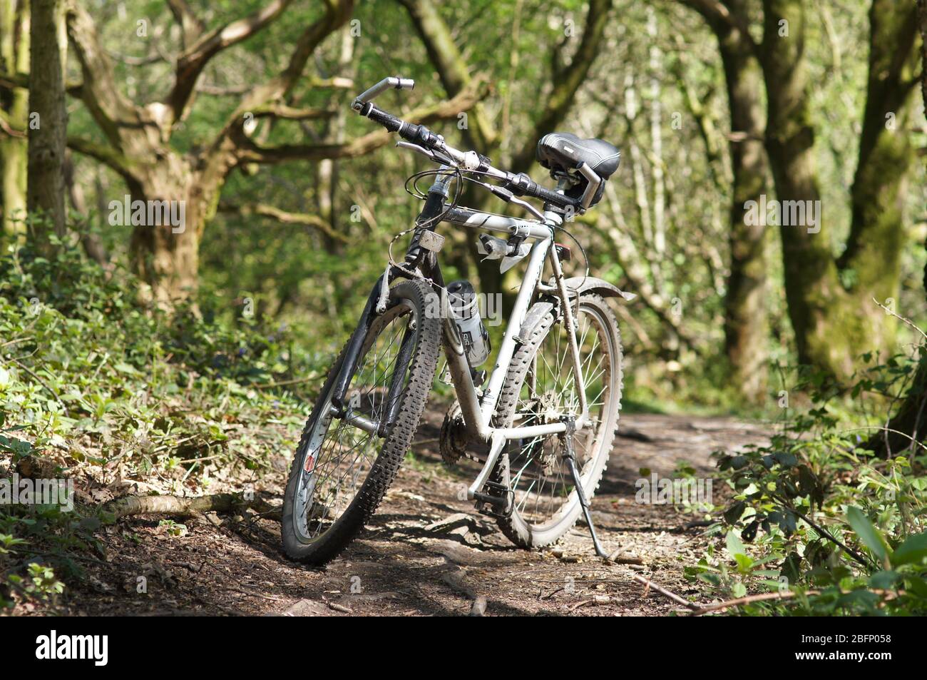 Ein einfaches Hybrid-Fahrrad an einem warmen sonnigen Tag - Fahrrad Radwege Reiten Aktivität carrera Vulcan halfords Stockfoto