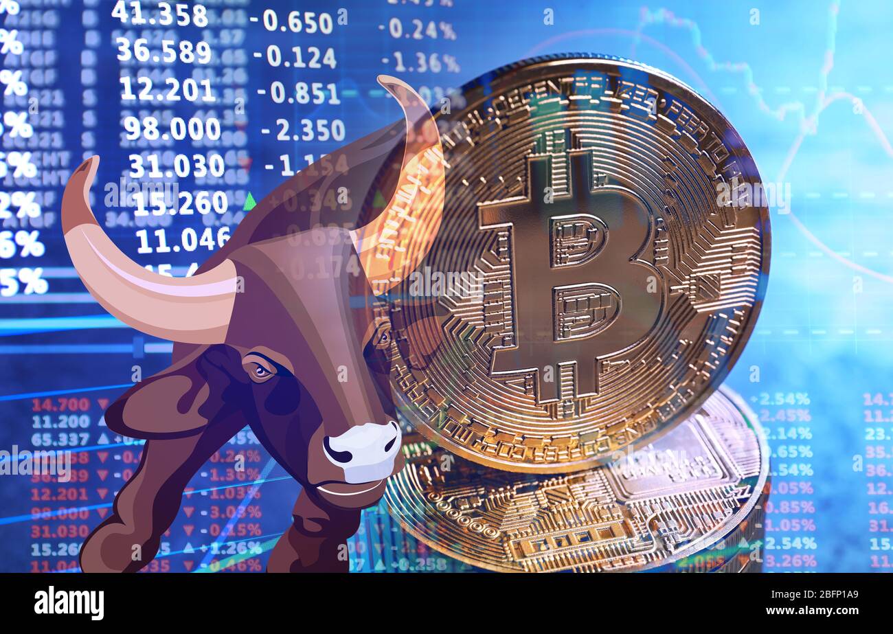 Doppelbelastung der Bulle als Symbol für Aktienmarkt, Bitcoins und Zinsen. Konzept des Finanzhandels Stockfoto