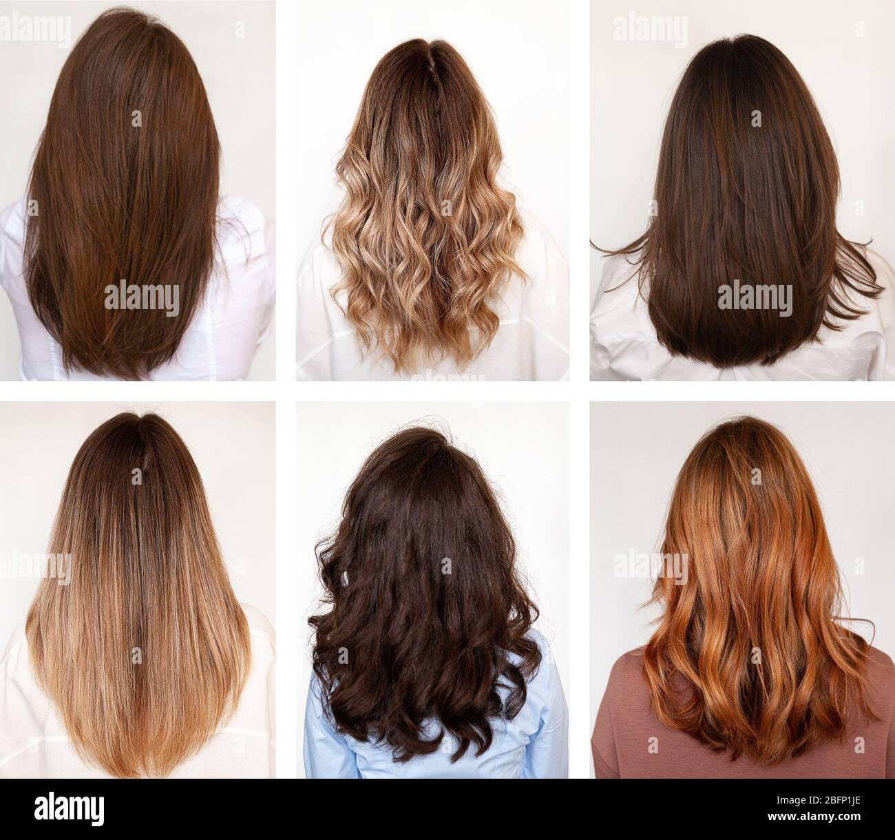 Sechs Frauen mit langen Haaren und Frisuren, Rückansicht. Stockfoto
