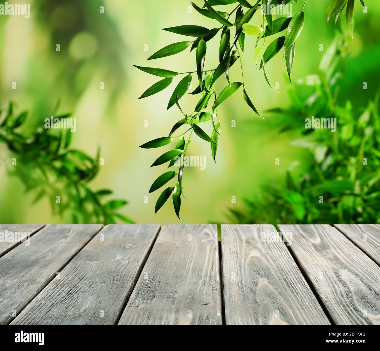 Abstrakte Natur Bokeh Hintergrund und leere Holz Tisch Stockfoto