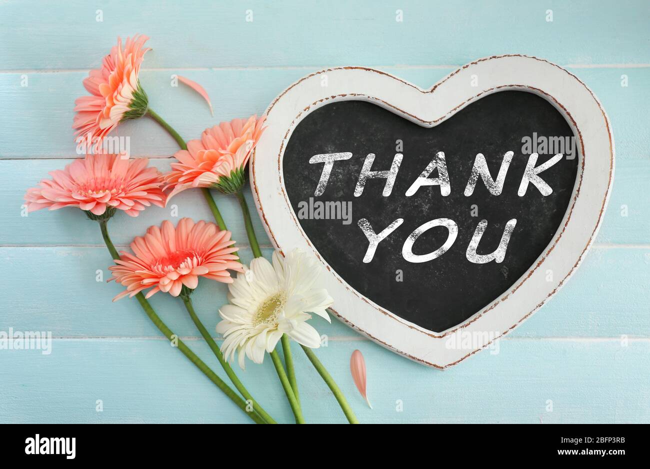 Blumenstrauß von Gerberas und Rahmen mit Text Danke auf blauem Holzhintergrund Stockfoto