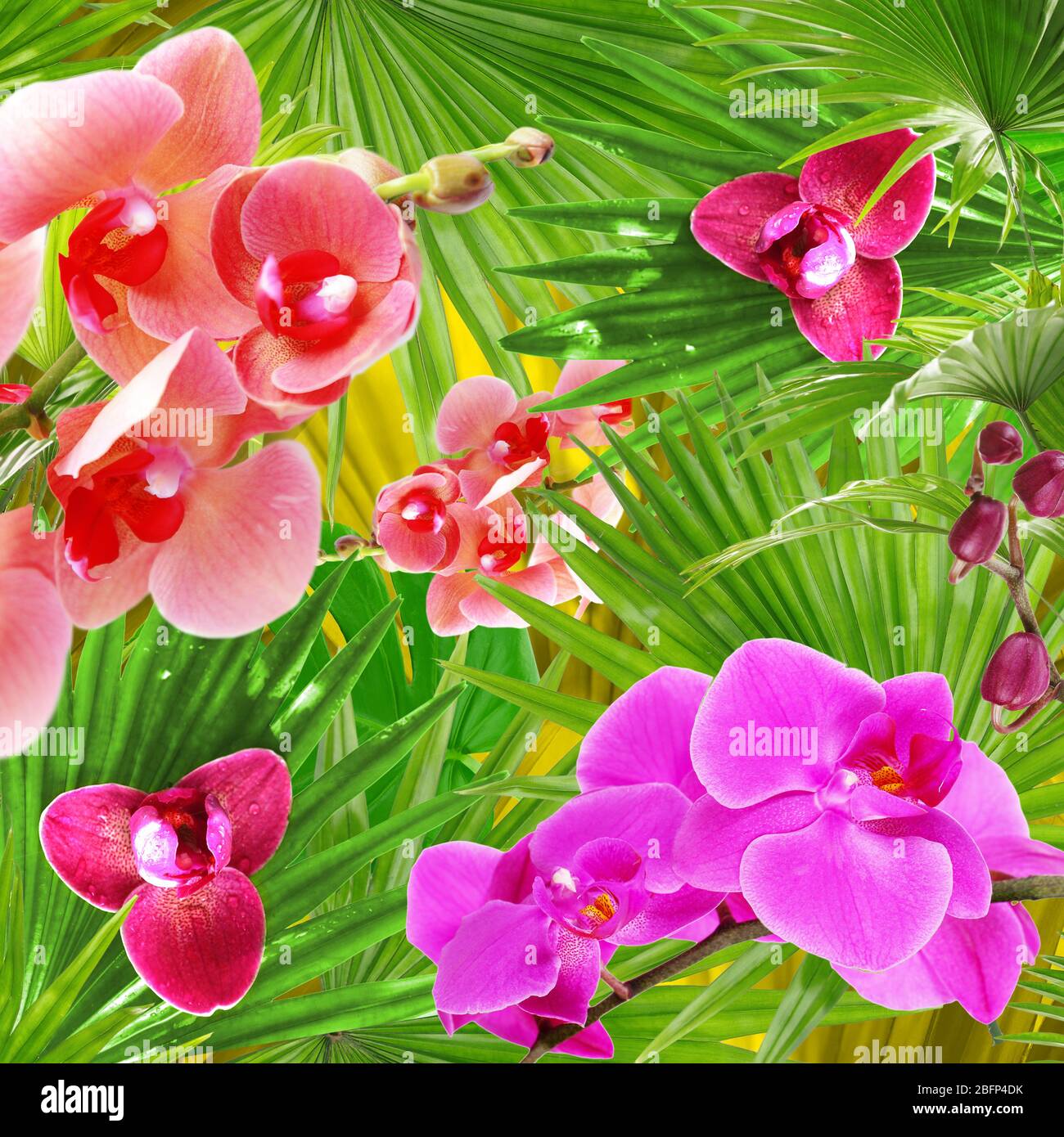 Tropischer Hintergrund mit Palmen und blühenden Orchideen. Florale ClipArt mit Lageneffekt. Nahtloses Muster. Stockfoto