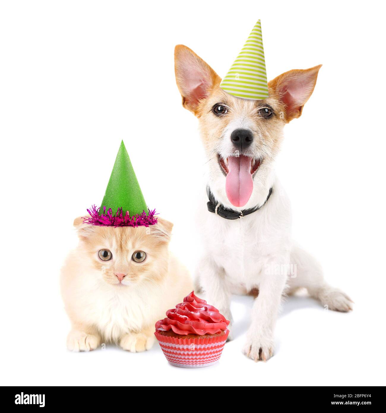 Katze und Hund zusammen mit Party Hüte und leckeren Cupcake , isoliert auf weiß Stockfoto