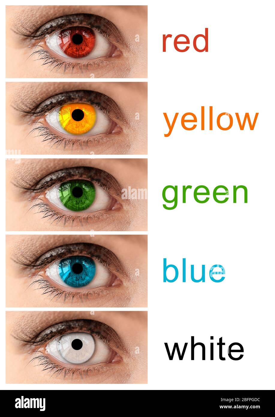 Collage von Frau in verschiedenen Farben Kontaktlinsen auf weißem Hintergrund Stockfoto
