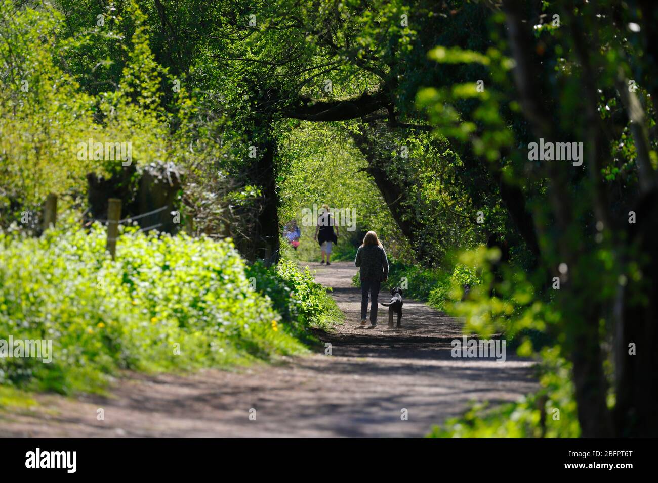 Ein Reitweg in Shillington Stockfoto