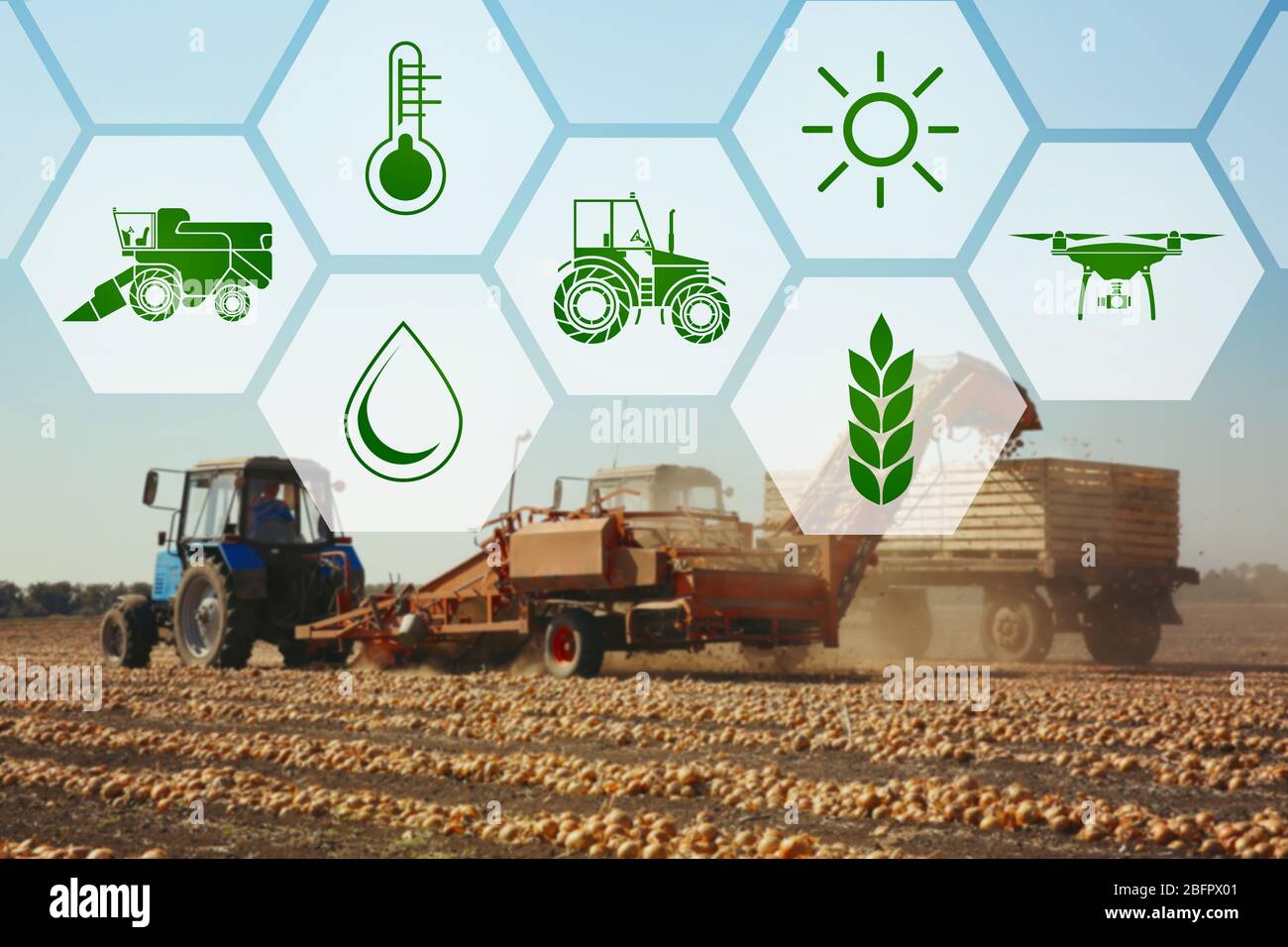 Ikonen und Prozess der Ernte mit modernen landwirtschaftlichen Geräten auf Hintergrund. Konzept der intelligenten Landwirtschaft und moderner Technologie Stockfoto