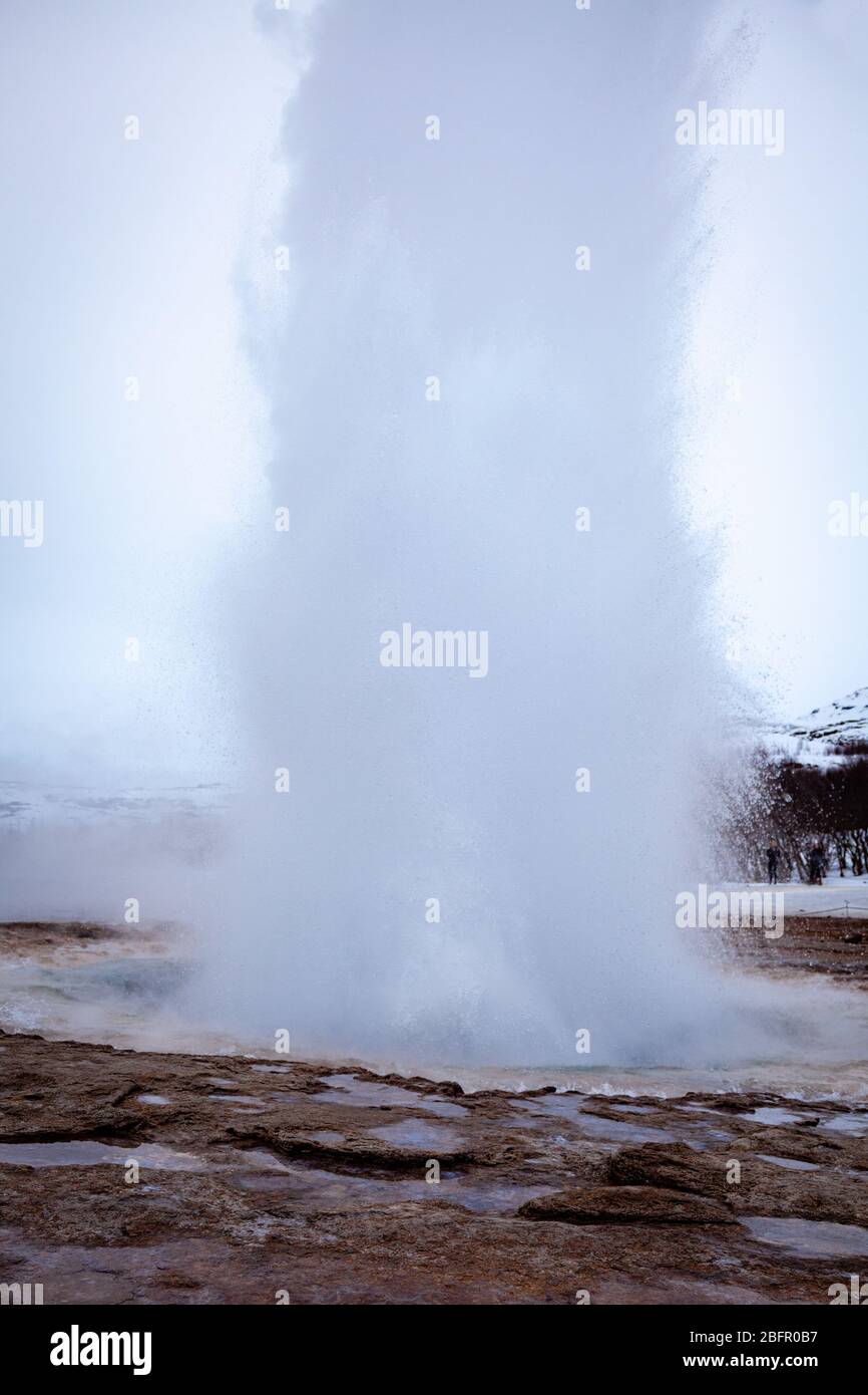Geysir, Island - Strokkur heiße Quelle im Geysir Geothermie-Gebiet bricht an einem bewölkten Tag im Winter aus Stockfoto