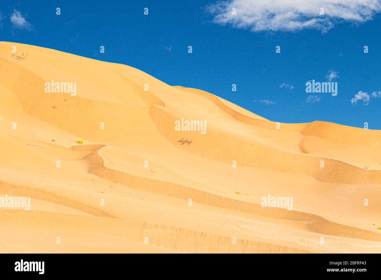 Jeep Safari in der schönen Omani Rub al-Chali Wüste Stockfoto