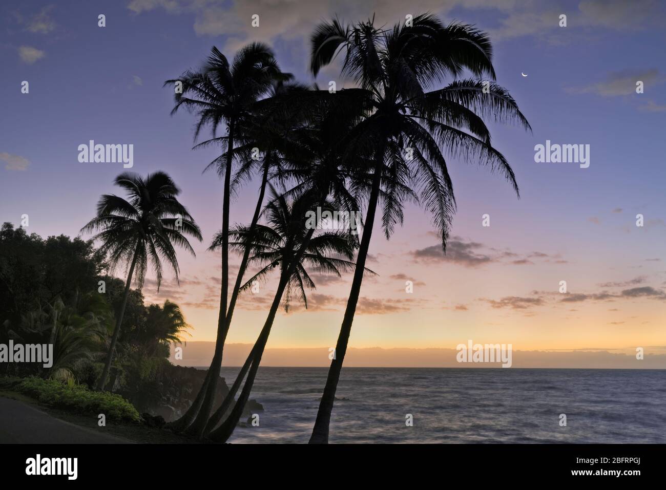 Vor der Dämmerung ziviles Zwielicht mit dem einsetzenden Halbmond und den Silhouetten der Puna-Küstenpalmen auf der Big Island von Hawaii. Stockfoto