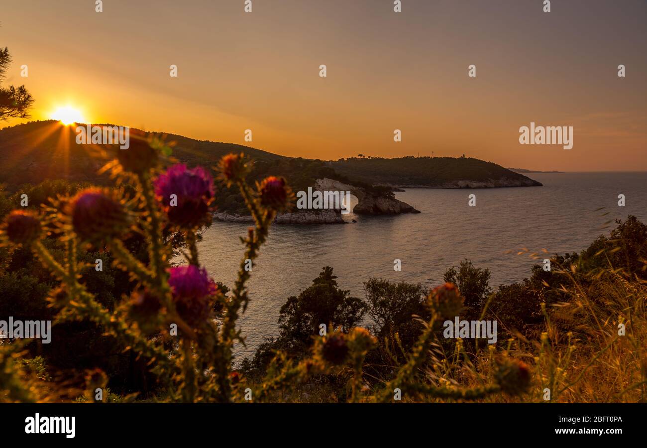 Blick in den Sonnenuntergang auf dem Bogen der Bucht von San Felice. Gargano, Vieste, Apulien, Foggia, Italien Stockfoto