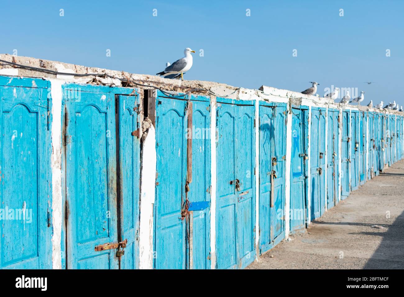 Blaue Holztüren entlang der Docks von Essaouira Marokko mit Möwen Stockfoto