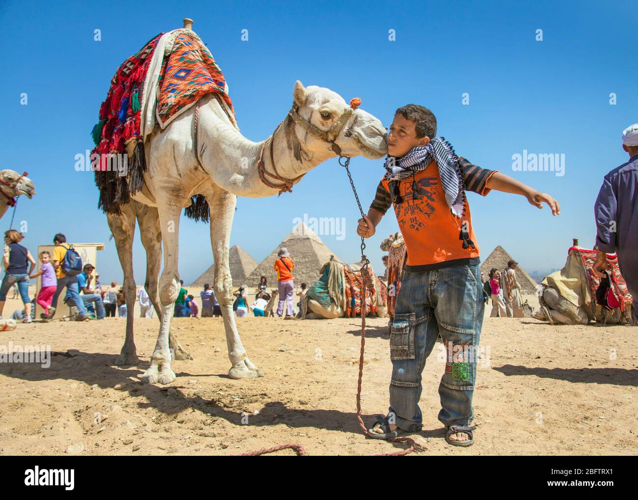 Ein ägyptischer Junge küsst ein Kamel an den Pyramiden in Gizeh, Ägypten Stockfoto