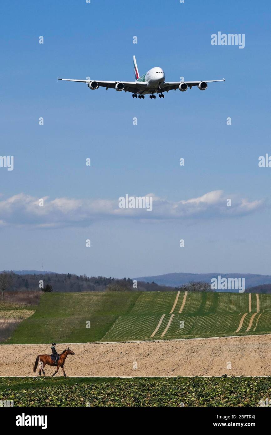 Flugzeug Emirates Airbus A380-800, A6-EEW, Landung, Zürich Kloten, Schweiz Stockfoto