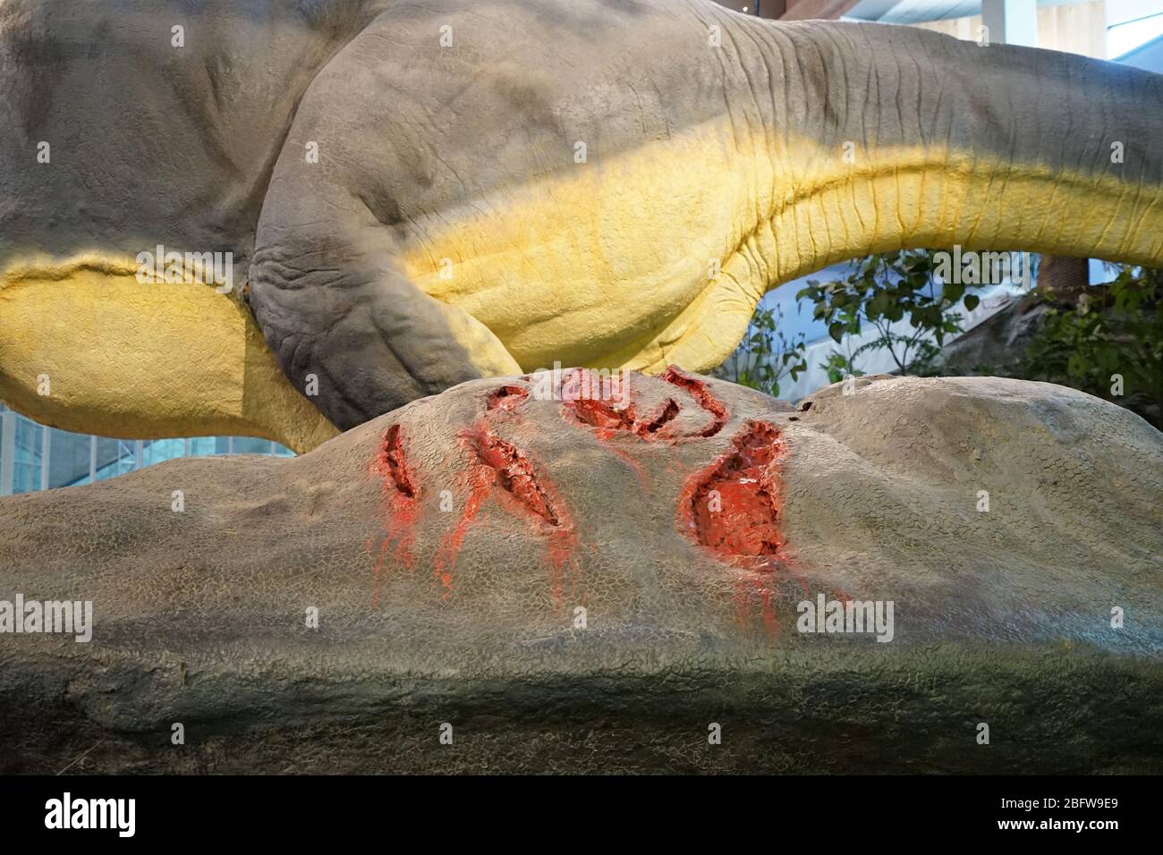 Details des T-Rex Dinosaurier im 'Saint Louis Science Center' kombiniert Experimentieren, Kreativität und Spielaktivitäten, um Technologie zu entdecken -MO, USA Stockfoto