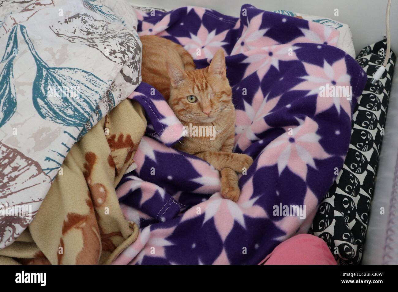 Letto interno -Fotos und -Bildmaterial in hoher Auflösung – Alamy