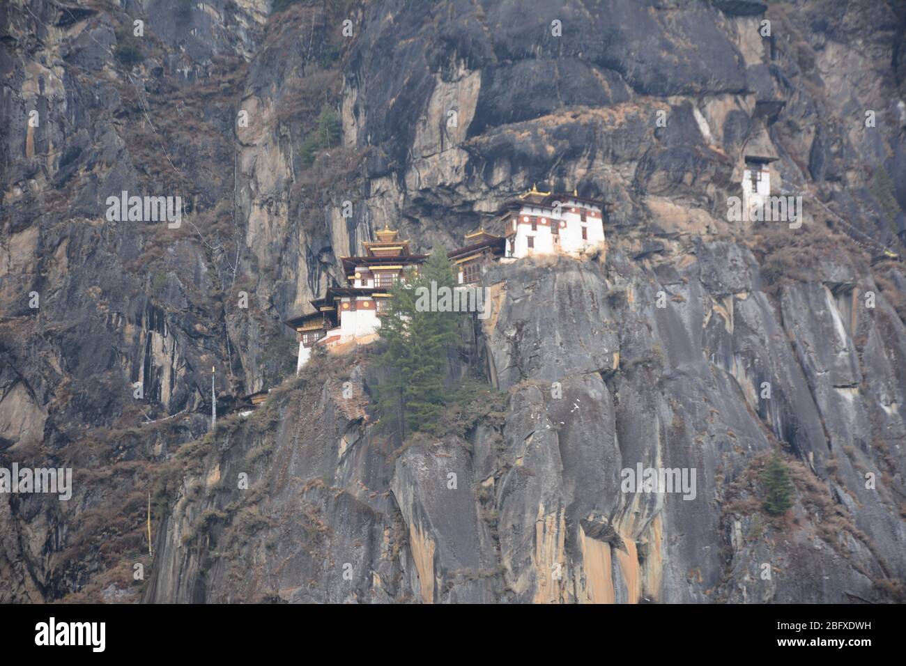 Fernansicht des Tiger's Nest Klosters von der Wanderung (auch bekannt als der Taktsang Weg nach Paro Taktsang), Bhutans beliebteste Touristenattraktion. Stockfoto