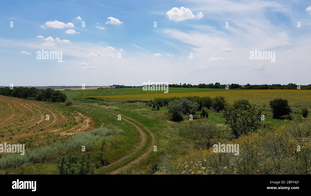 Landstraße der ruhigen Landschaft in Ackerland mit grünen und gelben Feldern. Ländliche Aussicht und helle Wolkenlandschaft im Sommer. Stockfoto