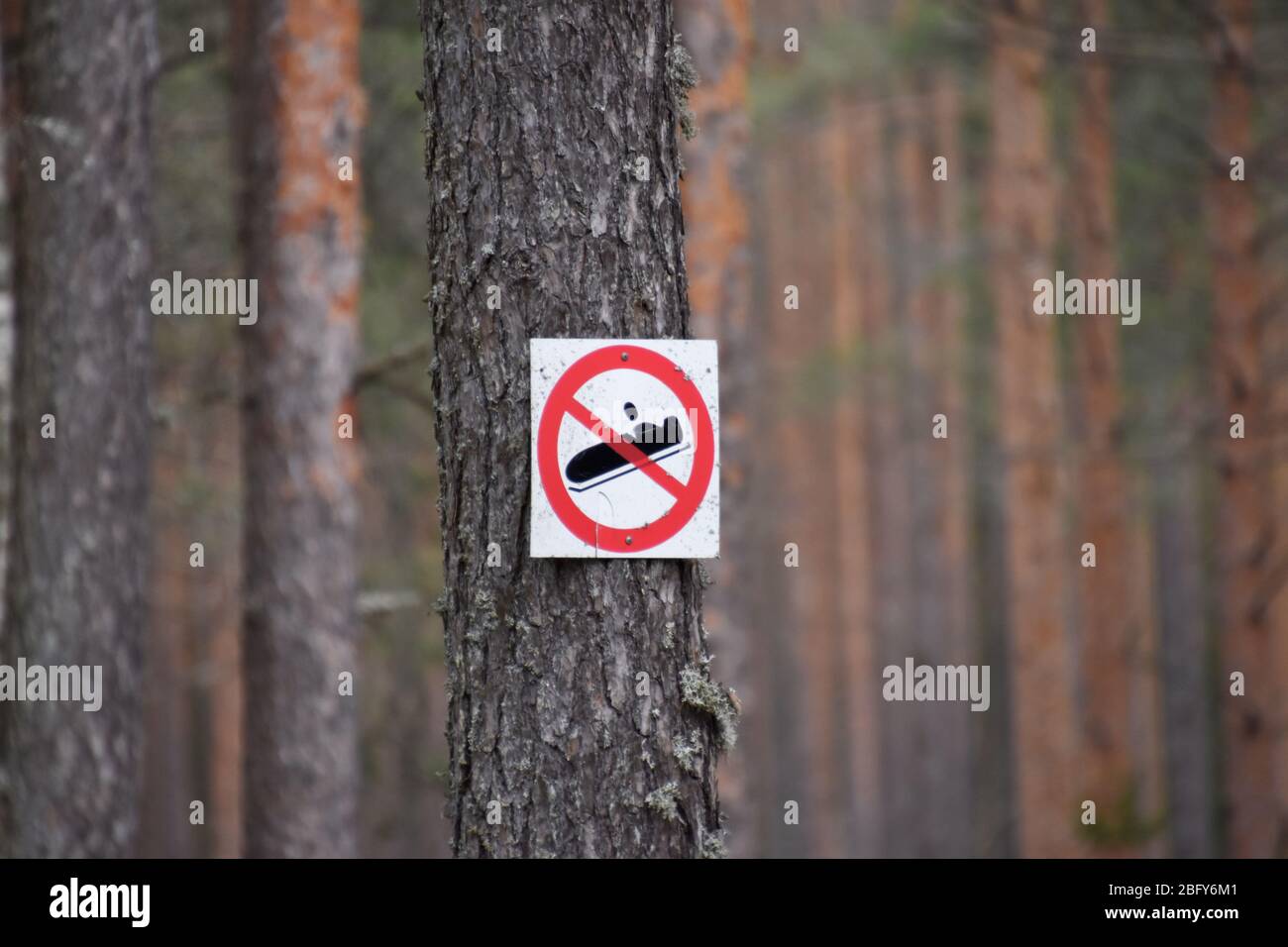 Kein Schlitten Zeichen im Wald. Stockfoto