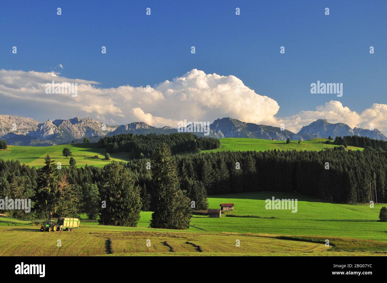 Heuernte im Allgäu, Schwaben, Bayern, Deutschland, Europa Stockfoto