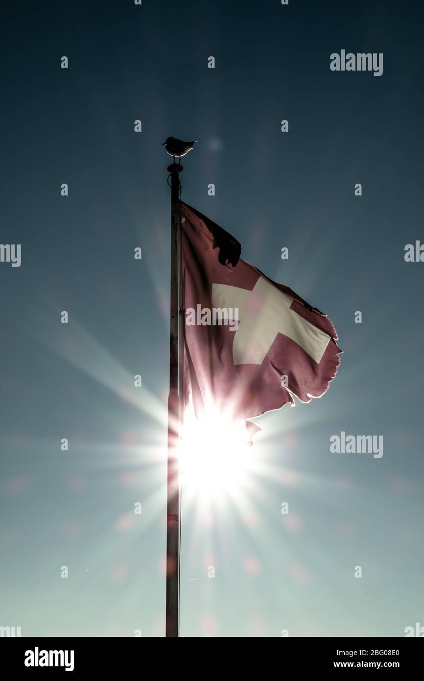 Schweizer Flagge mit Sunbeam Stockfoto